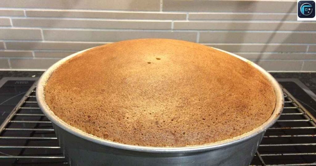 Round Cake Pan