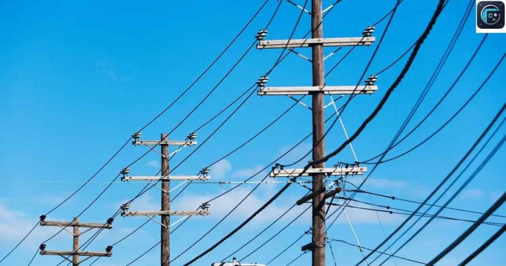 Telephone Pole
