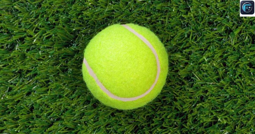 Tennis Ball
