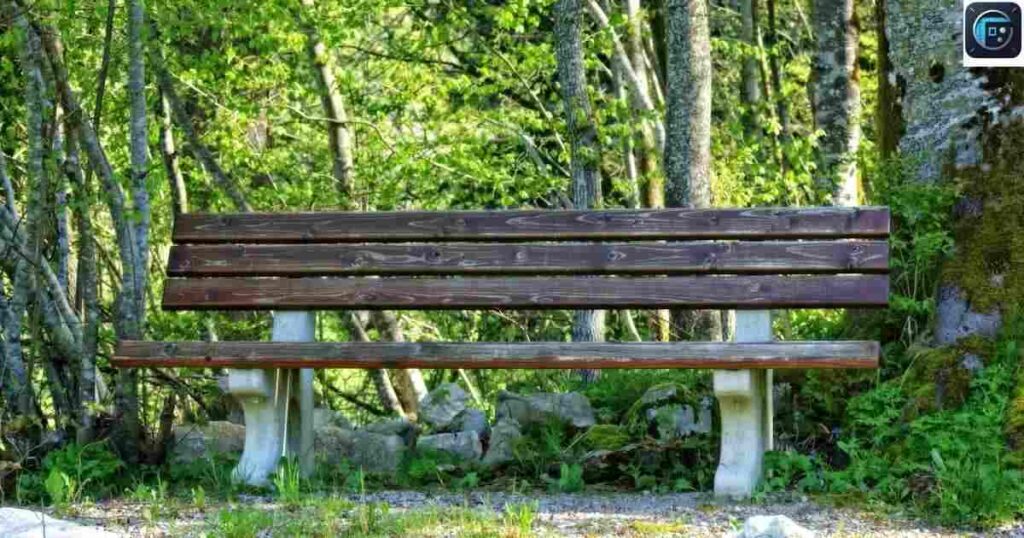 Three Park Benches
