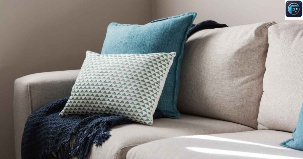 Throw Pillow
