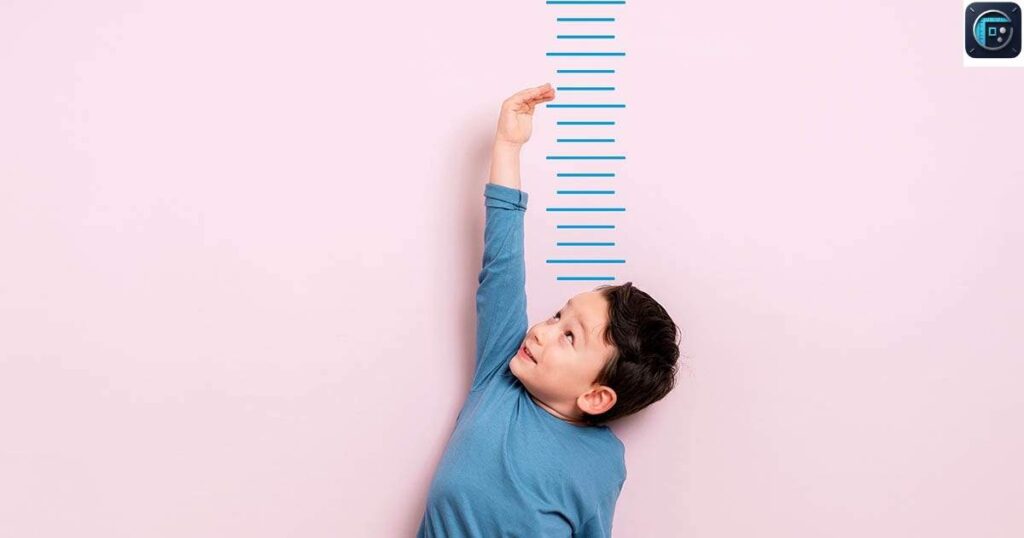 Toddler Height
