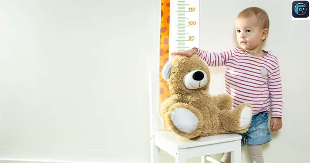 Toddler's Height