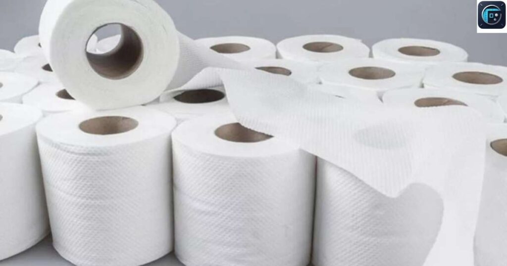 Toilet Paper Roll
