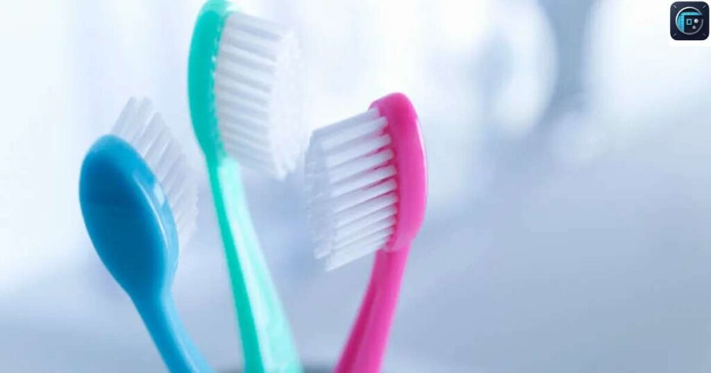 Toothbrush Head
