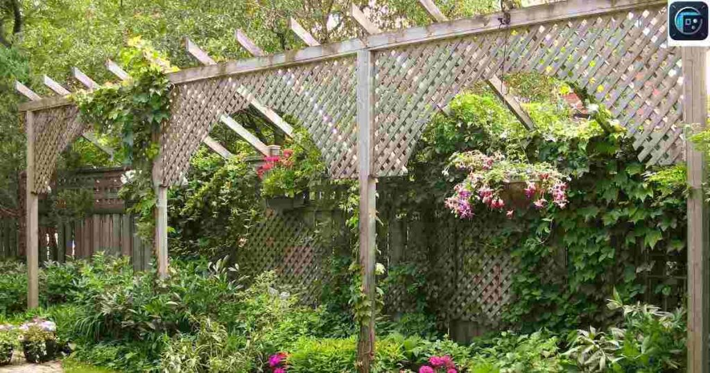 Width of a Garden Trellis
