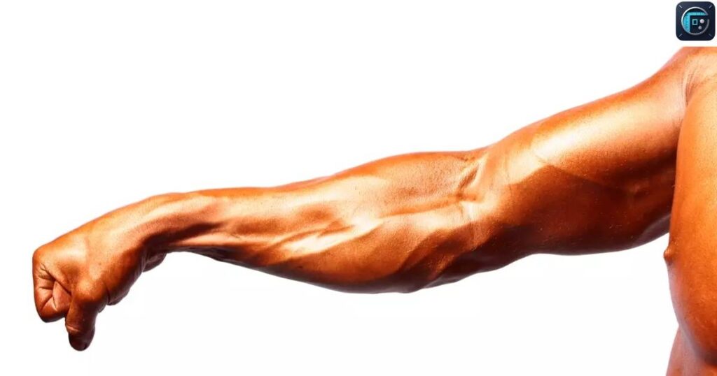 Your Forearm
