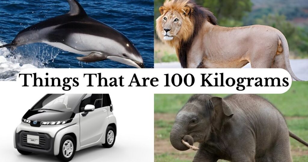 100 Kilograms