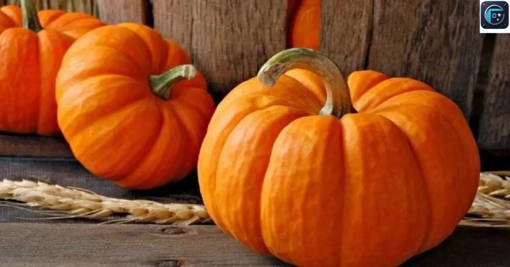 2 Average-Sized Pumpkins
