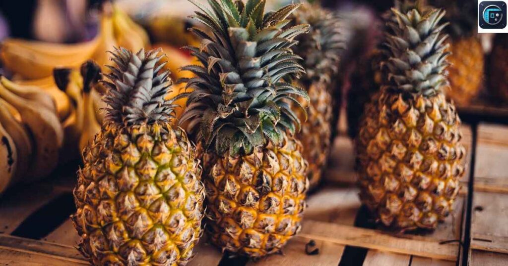 A Bag of 20 Pineapples
