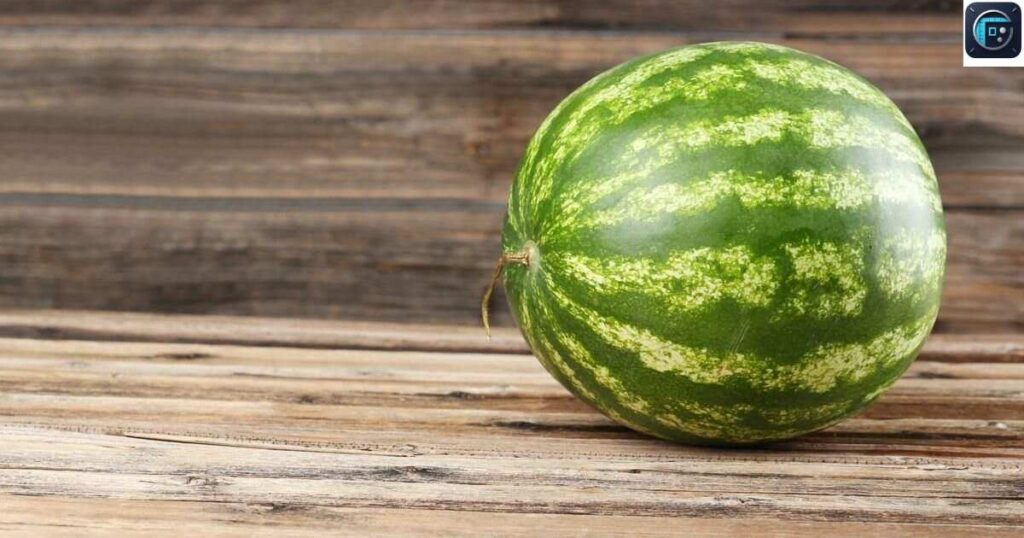 A Large Watermelon
