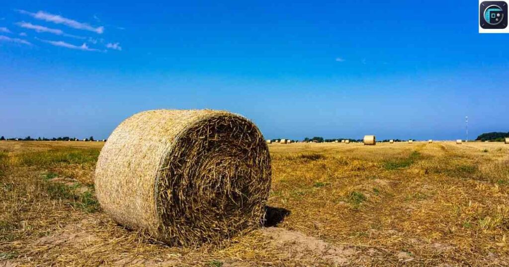 Bale of Hay
