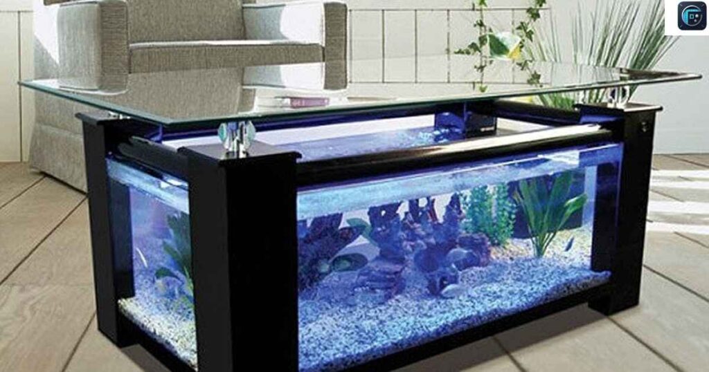 Glass Aquarium

