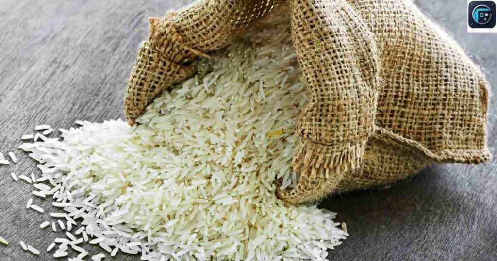 Large Bag of Rice
