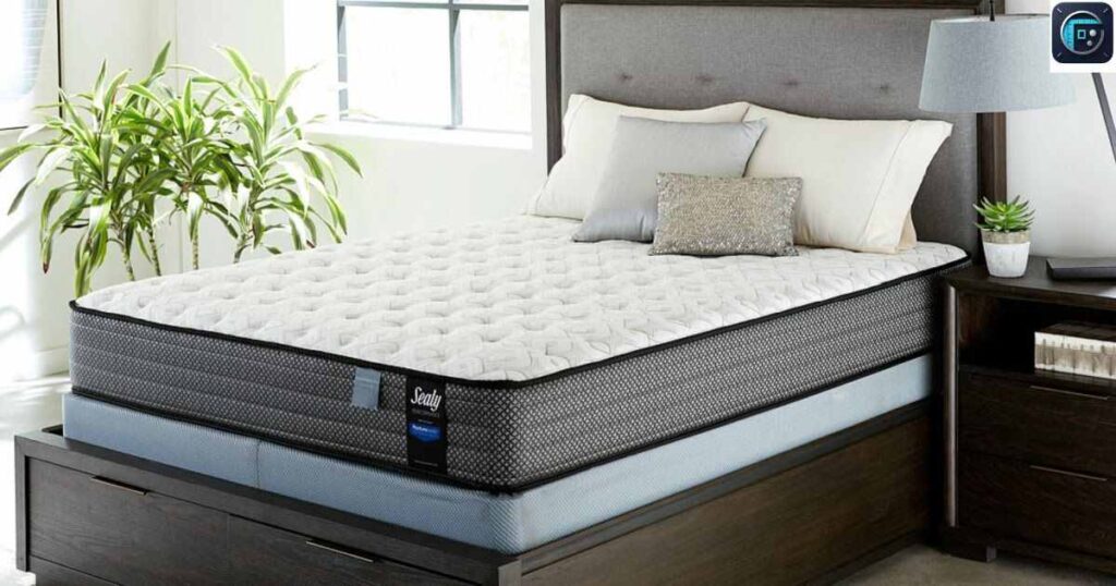 Queen-Size Box Spring
