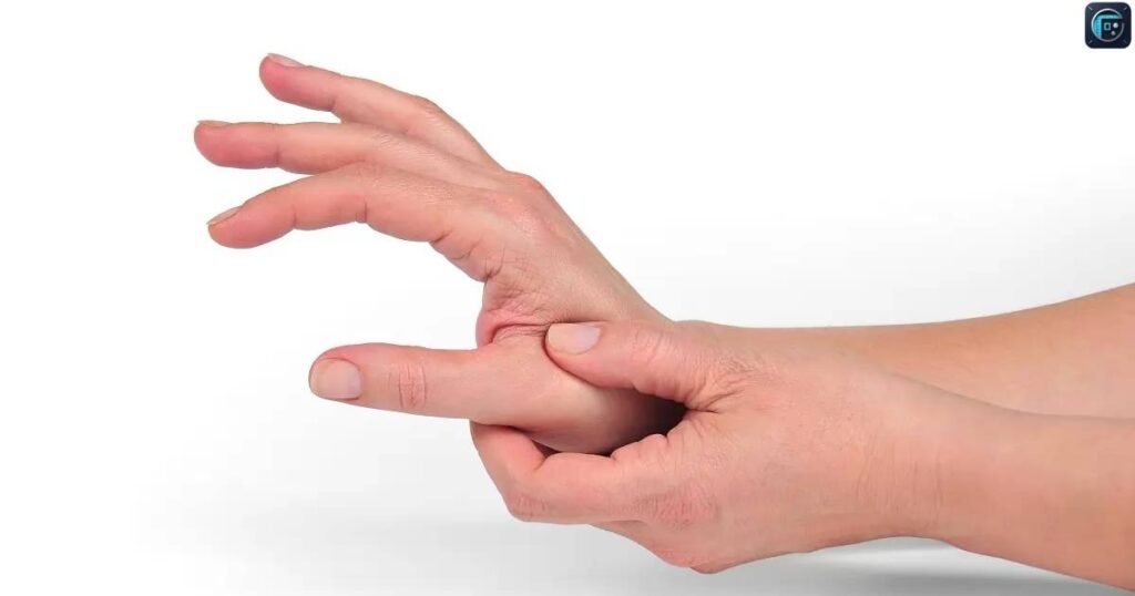 Thumb Knuckle Width
