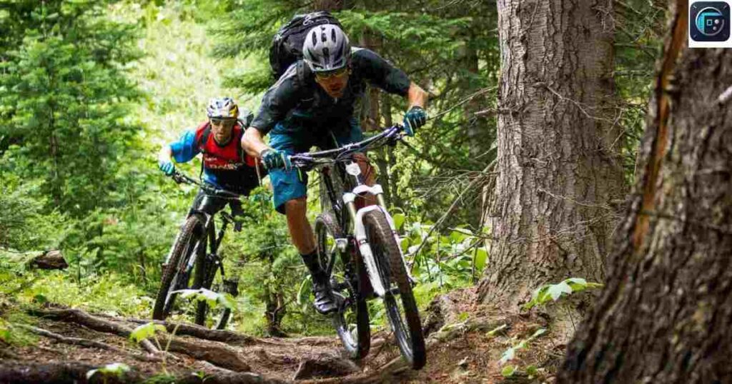 Two Mountain Bikes
